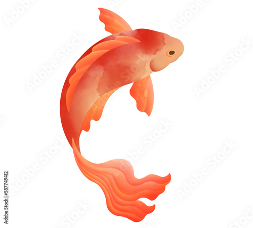 watercolor carp koi fish. Goldfish hand drawn illustration for greeting cards, invitations