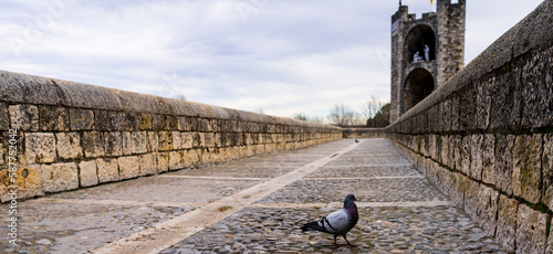 A long stone path with a pigeon and an arch in a medieval town under cloudy sky © Noemie