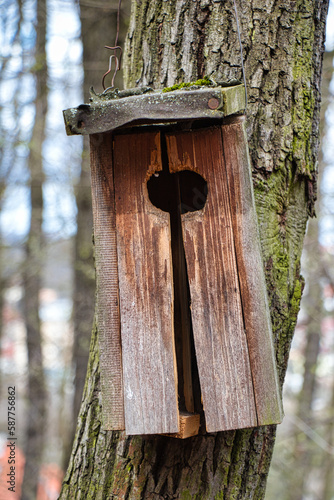 Abandoned and destroyed birdhouse on a tree in park.
