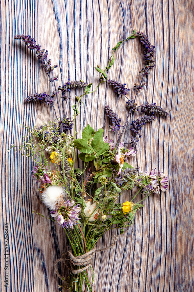 Dried Flowers on a wooden background Autumn Still Life Dried Flowers on a wooden background Autumn Still Life