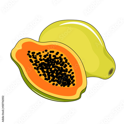 vector illustration of a papaya fruit