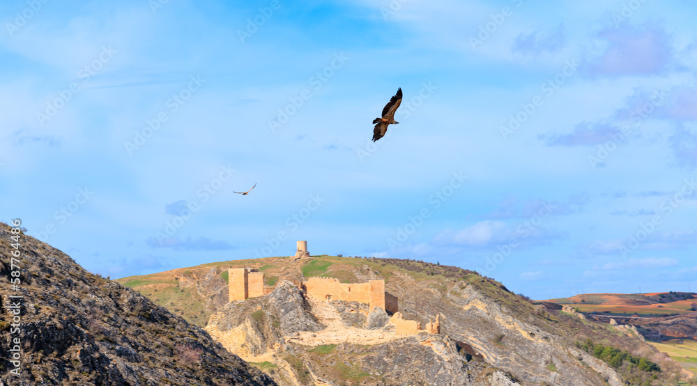 Fototapeta premium tourism at Burgo de Osma and castle- Soria province in Spain, Castile and Leon
