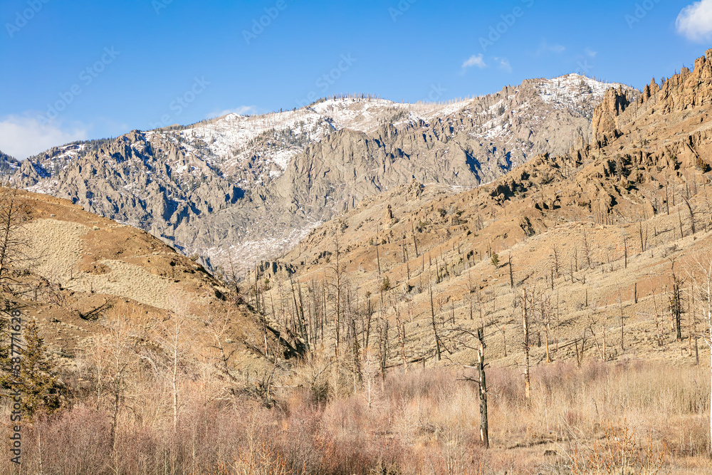 Winter canyon landscape in Shoshone National Forest in northwest Wyoming.