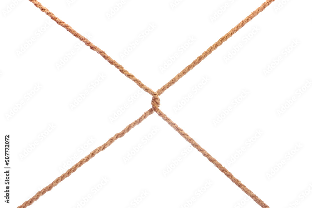 Two linked tense diagonal ropes cross section. Isolated png with transparency