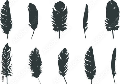 Feather silhouette, Feather SVG, Feather of birds silhouette, Feather vector icon