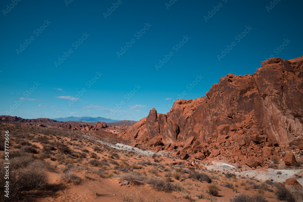 Desertscape in Valley of Fire, NV