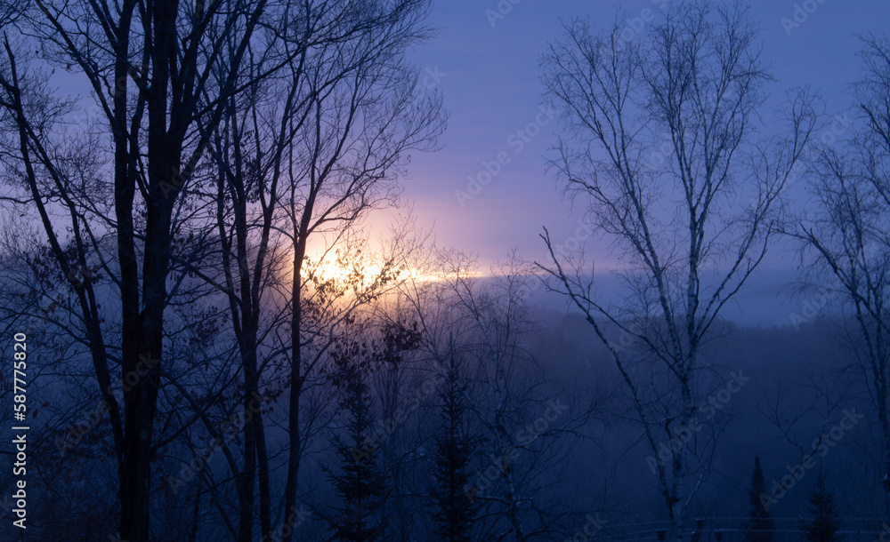 Sunrise above the mountains through the trees