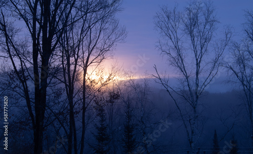 Fototapeta Naklejka Na Ścianę i Meble -  Sunrise above the mountains through the trees