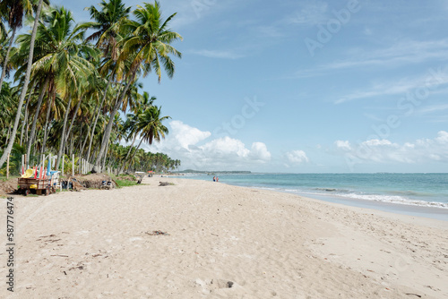 beach with palm trees © Gilvando