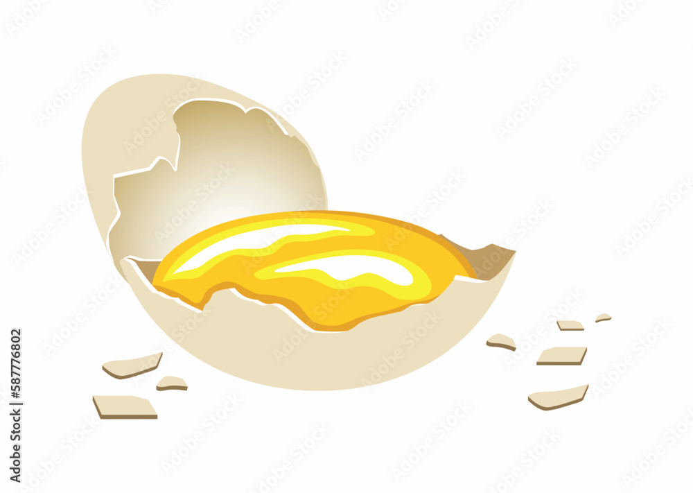Surowe rozbite jajko, żółtko w skorupce. Kolorowy rysunek wektorowy, ilustracja jajka. Potłuczone kurze jajo, kawałki skorupy. Zdrowe i pyszne jajko - obrazy, fototapety, plakaty 
