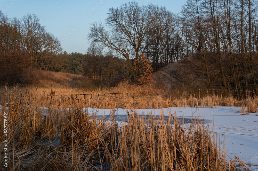 serene winter landscape featuring a frozen lake surrounded by tall reeds. serene winter landscape featuring a frozen lake surrounded by tall reeds.