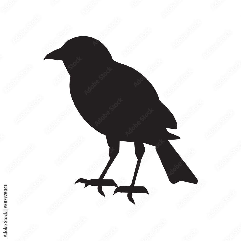 Fototapeta premium simple bird silhouette nice look pj