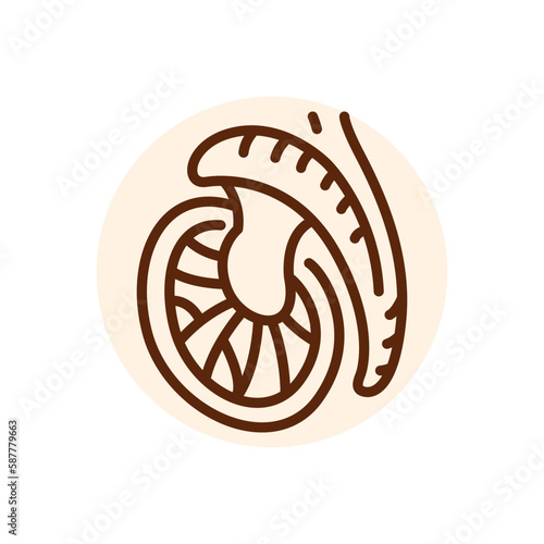 Testicle black line icon. Fertilization.