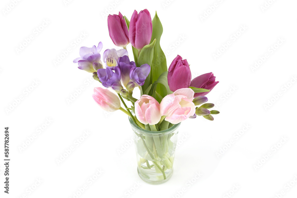 Flowers Tulip and Freesia in vase isolated on white background. Bouquet of purple pink spring flowers.