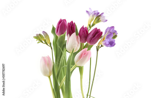 Flowers Tulip and Freesia isolated on white background. Bouquet of purple pink spring flowers. © vaitekune