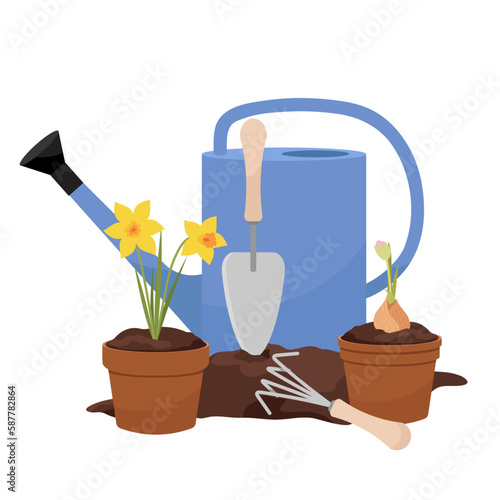 
The process of planting daffodils. Garden tools for planting flowers. Composition of a garden watering can, flower pots and inventory.