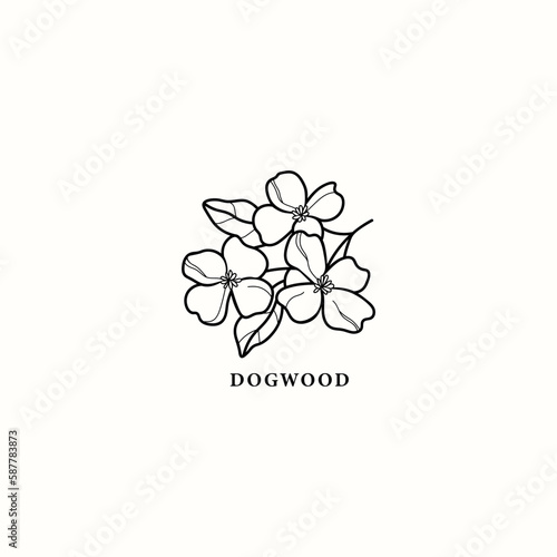 Line art dogwood branch illustration