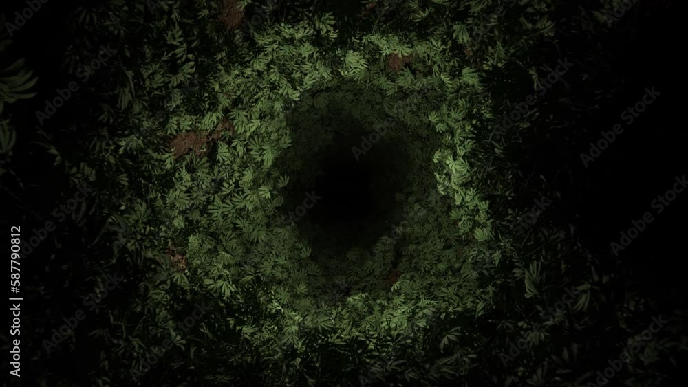 Psychedelic Cannabis tunnel Stoner day 420 Trippy animation Acid trip hallucination Marijuana life 3d party vj loop 4k background visuals