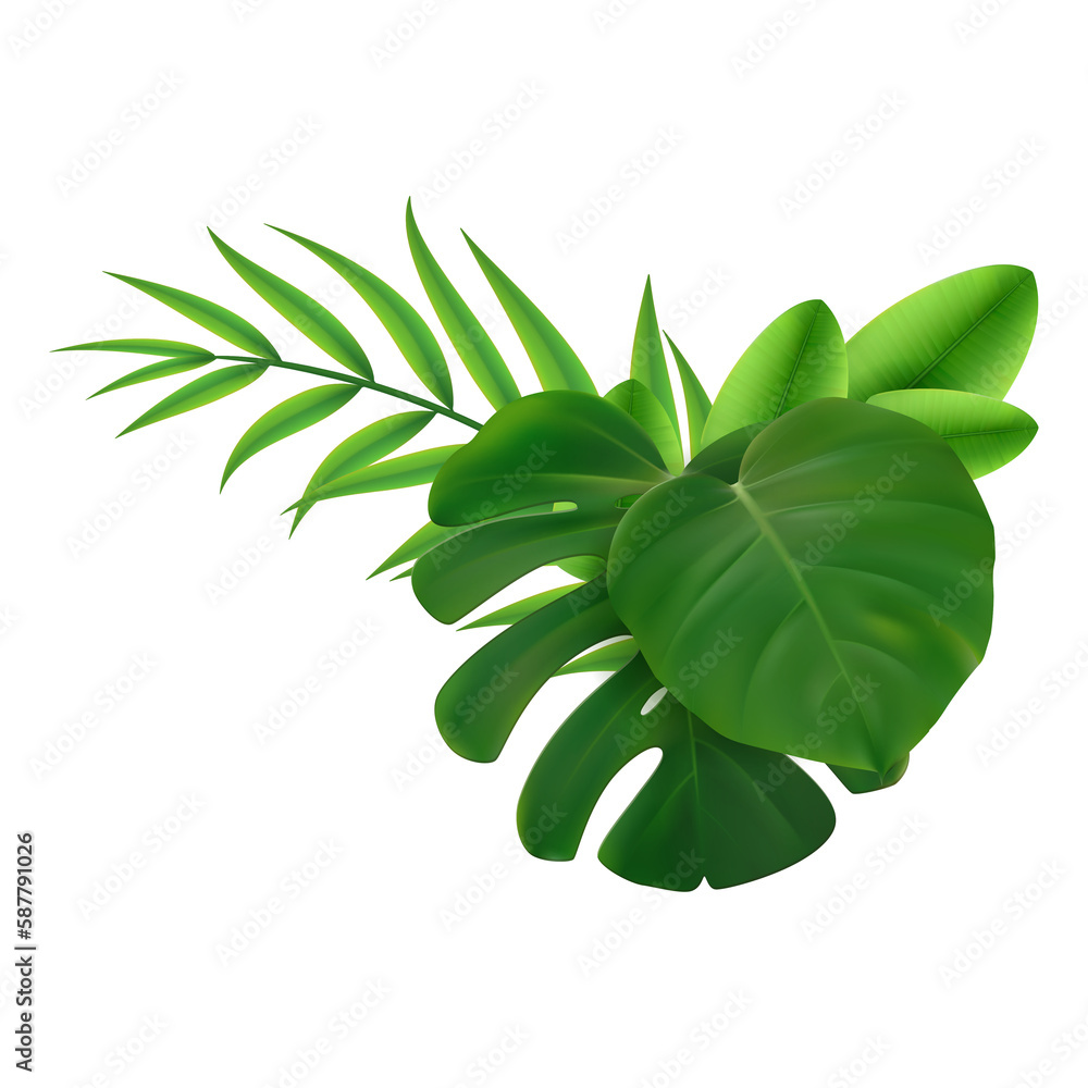 Green leaves element with transparent background. Realistic isolated image of leaf bush plant. Tropical leaves foliage plants bush floral arrangement nature backdrop.
