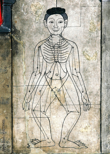 Bild auf Leinwand Thai massage acupressure points on wall mural in Wat Pho, Bangkok