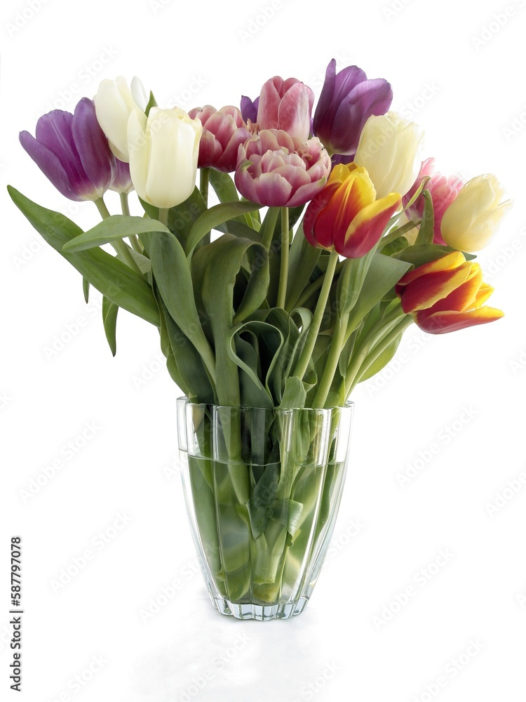 Obraz premium posy of pretty colorful tulips close up