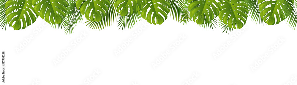 Palm Leaves Frame Isolated White Background