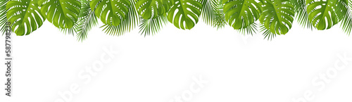 Palm Leaves Frame Isolated White Background