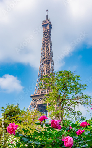 Eiffel Tower and Field of Mars in spring, Paris, France