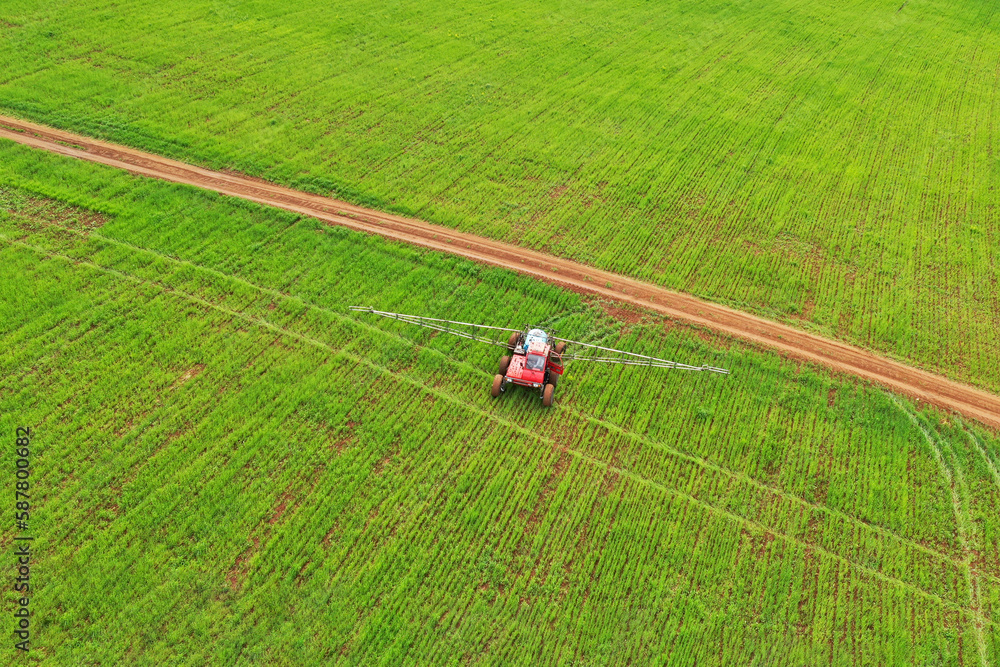 Chemical protection of green sprouts in the field against pests, diseases and weeds. A self-propelled boom sprayer sprays fungicide ( insecticide, herbicide) on the plants. Drone shooting. Chemical protection of green sprouts in the field against pests, diseases and weeds. A self-propelled boom sprayer sprays fungicide ( insecticide, herbicide) on the plants. Drone shooting.