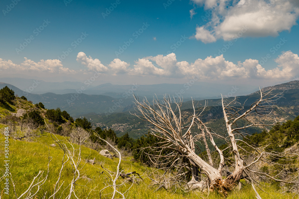 Panorama of Pindus Mountain (Vikos National Park), Greece