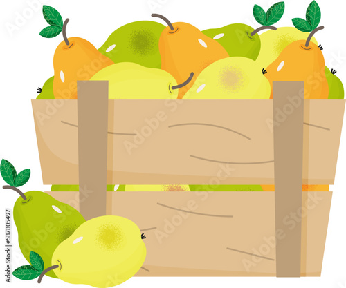 Ripe pears in a wooden box. Harvest time concept. Box with yellow and green pears. Fruits storage and transportation. Organic fruits. Poster for supermarket, grocery, farm market.