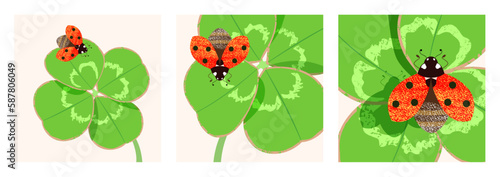 Set with pretty red ladybirds on green four-leaf clover leaves as  symbol of good luck and happiness. Three square vector illustration cards in different scales with textures . 