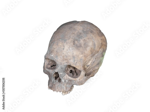 Old realistic human skull isolated