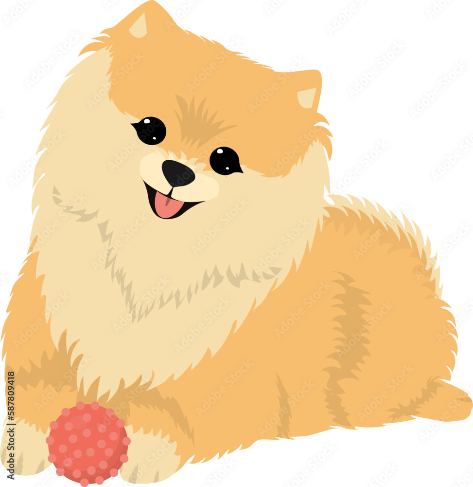 Cute dog spitz with a ball .Vector flat illustrations Cute dog spitz with a ball .Vector flat illustrations