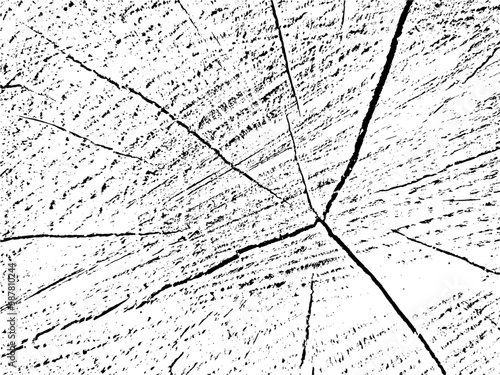 Vector grunge texture of a cross section of a larch tree with cracks. Monochrome background of an old damaged log. Template for texture overlay, stencil in grunge style. Design element