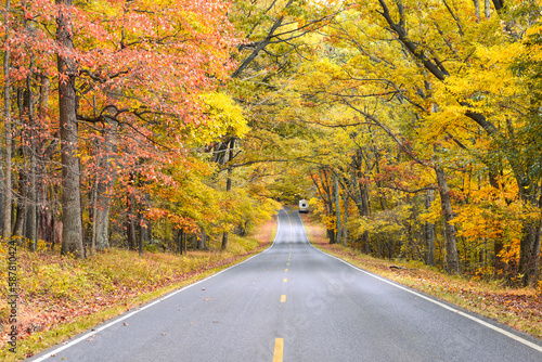 Autumn foliage in Shenandoah National Park, Virginia - United States