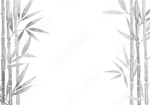 Fototapeta Naklejka Na Ścianę i Meble -  Hand drawn watercolor bamboo cane grey graphic lush foliage tropical leaves one both side mock up with copy space.Isolated on white, web design element for cards, invitations.
