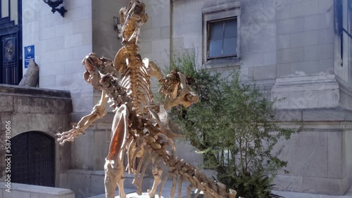 Smilodon Fatalis (Saber-toothed Cats) Skeletons at the Entrance of the Bernardino Rivadavia Natural Sciences Museum, Buenos Aires, Argentina. photo