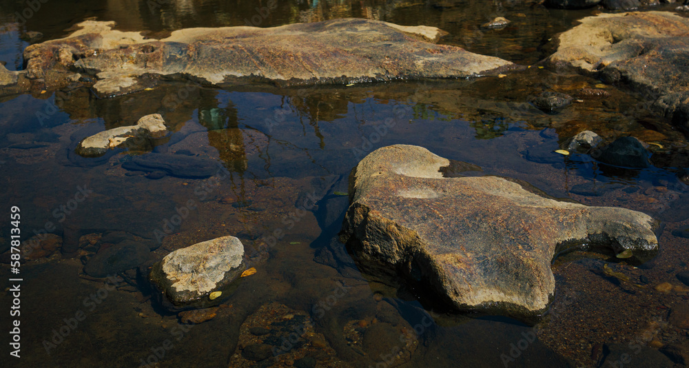 River bank with mud and water