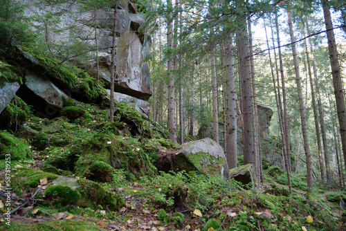 Dovbush Rocks in the forest near Yaremche city, Ukraine photo