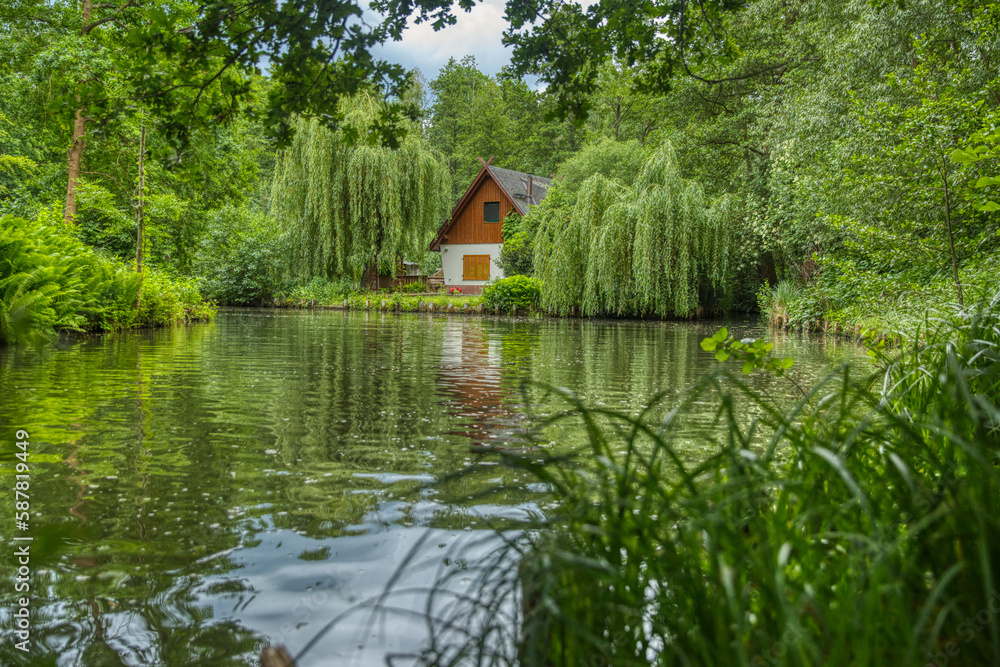 Obraz premium mein schon haus