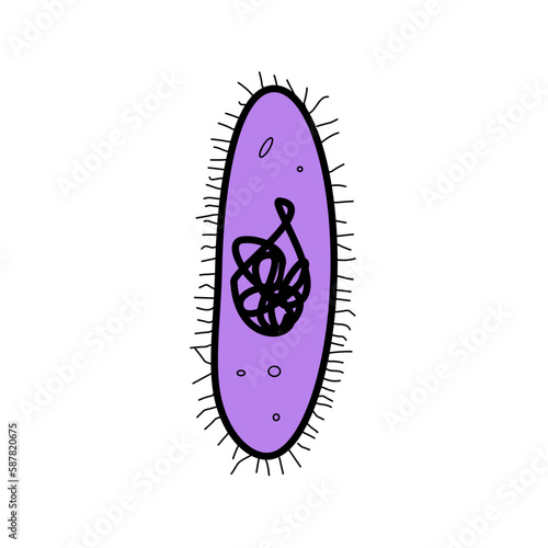 bacteria illustration