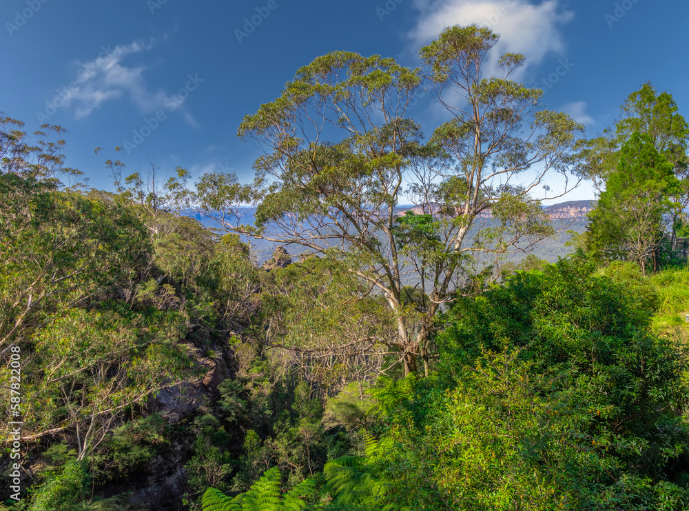 View of Echo Point Blue Mountains three sisters Katoomba Sydney NSW Australia View of Echo Point Blue Mountains three sisters Katoomba Sydney NSW Australia