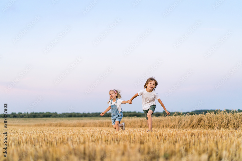 Happy and free people, children run through the beveled field of wheat Happy and free people, children run through the beveled field of wheat