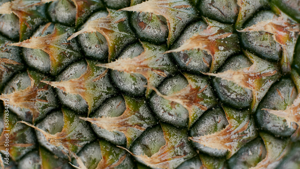 close up of pineapple peel texture for background close up of pineapple peel texture for background