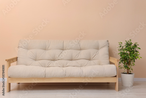 Comfortable sofa and houseplant indoors. Interior design
