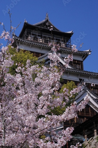 広島城と桜