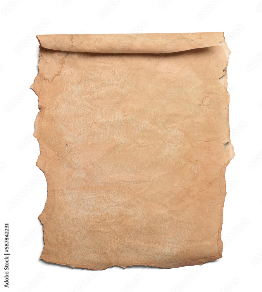 Fototapeta premium Parchment isolated on white. Old paper texture