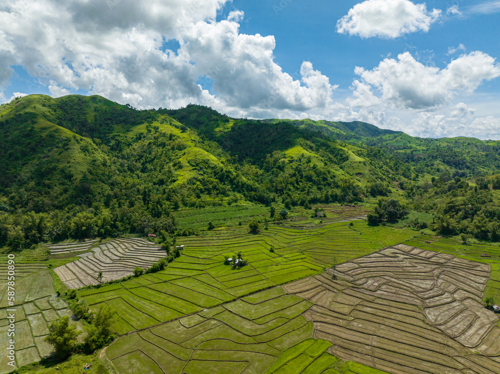 Aerial view of rice plantations and farmland among the mountains. Negros, Philippines
