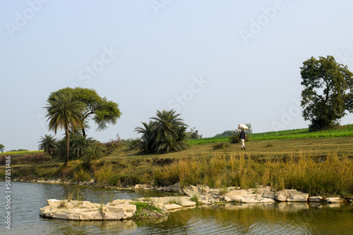 Landscape with water body and trees. An isolated place with no humans around
